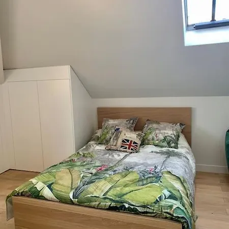Appartement Olympic Games In Center